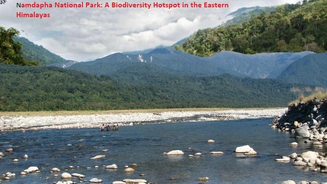 Namdapha National Park: A Biodiversity Hotspot in the Eastern Himalayas