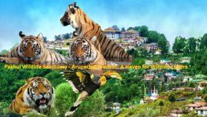 Pakhui Wildlife Sanctuary, Arunachal Pradesh: A Sanctuary for Natural Wonders